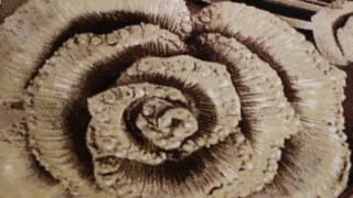 فرش محبوب جوانان