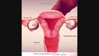 جوانسازی واژن بدون جراحی