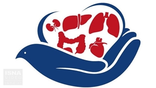 داستان دو زندگی ابدی