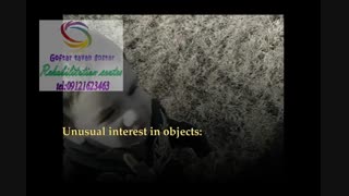 حقایقی در رابطه با نوروفیدبک