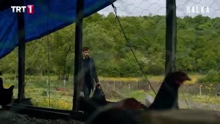 سریال Halka (حلقه) قسمت ۱۸ با زیرنویس چسبیده فارسی