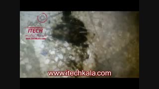 محلول روغن پاک کن آی تک