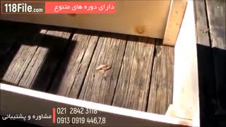 آموزش کامل پرورش قارچ  از 0 تا 100 - 09130919448