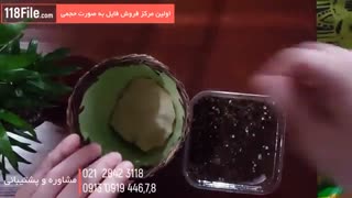 روش عوض کردن خاک گلدان