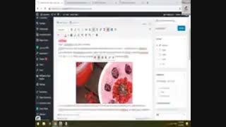 نحوه استفاده از طراحی سایت وردپرس/ بخش 5- شرکت نونگار