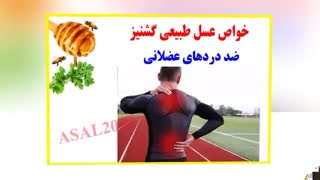 درمان بیماری ها با عسل گشنیز کوهستان