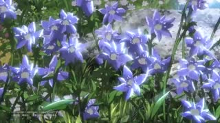 نسخه کوتاه ویدئوی تبلیغاتی 「13の冬」از Linked Horizon با استفاده از انیمه حمله به تایتان Attack on Titan