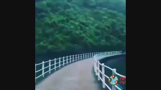 طبیعت گردی با تورجور