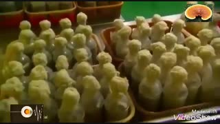 پودر گانودرما ( 100% خالص )