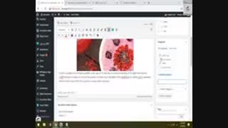 نحوه استفاده از طراحی سایت وردپرس/ بخش6- شرکت نونگار