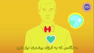 تیروئید چیست ، چه وظیفهای دارد و بیماریهای آن کدام اند؟