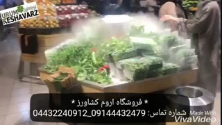 انواع دستگاه های التراسونیک