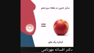 رشد جنین در شکم مادر
