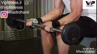 مچ با هالتر نشسته