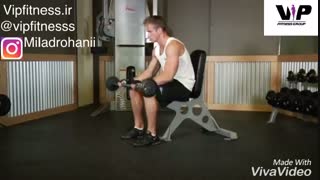 ساعد با هالتر نشسته