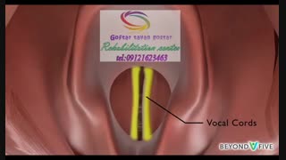 کلینیک فوق تخصصی درمان بیماری های حنجره در کرج|گفتار توان گستر البرز09121623463