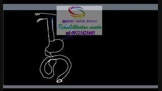 کلینیک تخصصی گفتاردرمانی در شمال کرج|گفتار توان گستر البرز09121623463