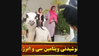 کلیپ طنز  فوق العاده خنده دار