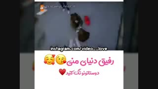 همه لطفاً بیان.......