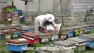 فروش عسل طبیعی