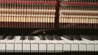 feurich mod 133 concert/گالری پیانو نوا