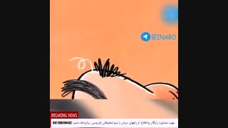 سبوس برنج لایه دوم برنج قهوه ای