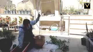 گلی از جنس فولاد