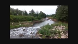 طبیعت فریبنده و سرسبز شمال ایران