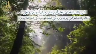 بندگی عاشقانه یا تاجرانه؟!- حجت الاسلام محمد جواد نوروزی نصرت