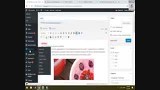 نحوه استفاده از طراحی سایت وردپرس/ بخش 12- شرکت نونگار