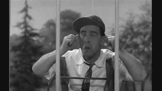 فیلم کمدی شیشه پاک کن    Up in the World