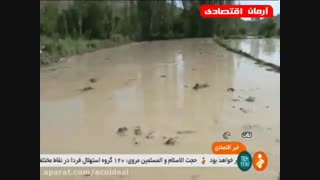 ممنوعیت کشت برنج در خراسان شمالی