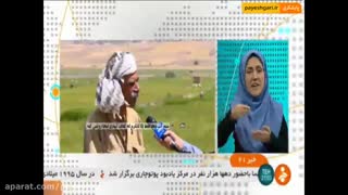 ممنوعیت کشت برنج در ایلام