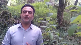 قانون همزمانی