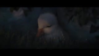 ♡ Tʜᴇ Dʀᴇᴀᴍ ᴏғ ᴛʜᴇ Dᴜᴄᴋ