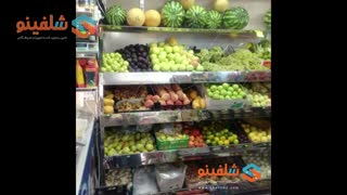 خرید قفسه میوه - تولید شرکت شلفینو