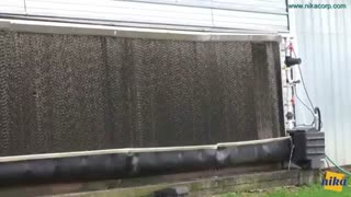 تمیز کردن پد سلولزی گلخانه