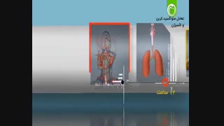 سیگار را پشت سر بگذاریم