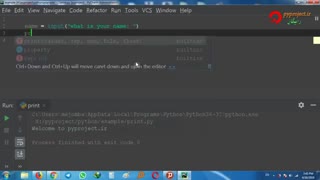 python input method