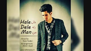 دانلود آهنگ جدید رضا نادری به نام حال دل من