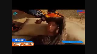 کل کل میکنه بخاطره تفنگ