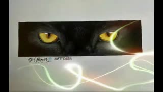 چشم گربه سیاه*-*