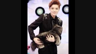 میکس تصاویر اکسو exo