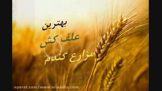 قویترین علف کش مزارع گندم | آتلانتیس دبلیوجی | Atlantis WG