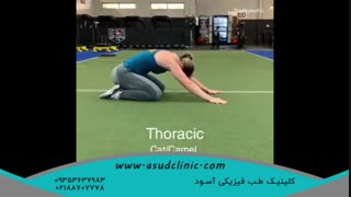 حرکات کششی عضلات کمر