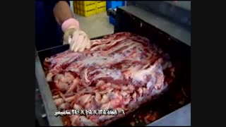 دستگاه فلیکر (خرد کن گوشت) | شرکت ماشین سازی پرچمی