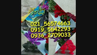 دستگاه مخمل پاش/فانتاکروم 02156574663