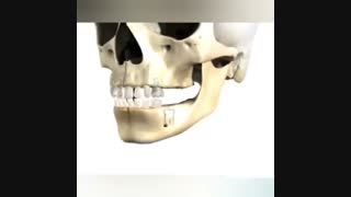 فیلم نحوه رویش دندان های شیری و دندان های دائمی