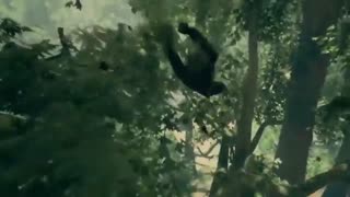 دقایقی از گیم پلی بازی عجیب اما جذاب Ancestors: The Humankind Odyssey