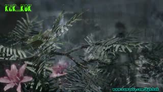 میکس  احساسی وشادسریال خاکستر عشق(با آهنگ سیاوش پا لاهنگ)